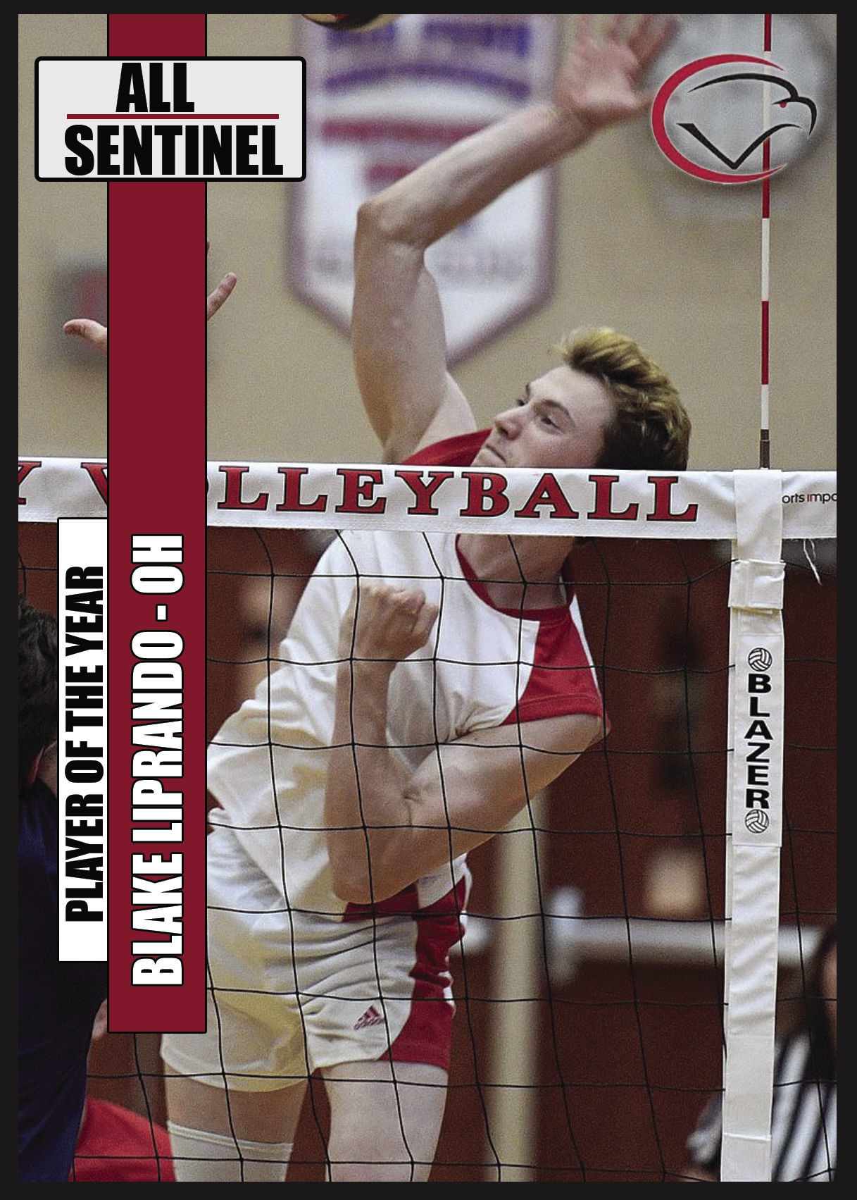 All-Sentinel: Cumberland Valley sr. Blake Liprando
